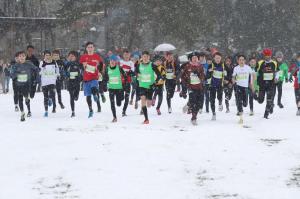 Cross Geneve-11