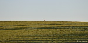 DSC 0454