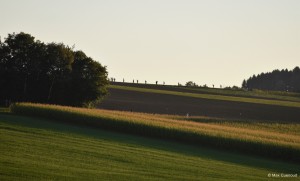 DSC 0456