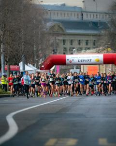 Escalade Clement-103