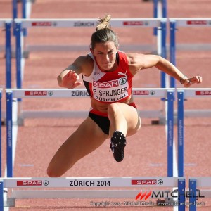 Zuerich 2014 fb2-2